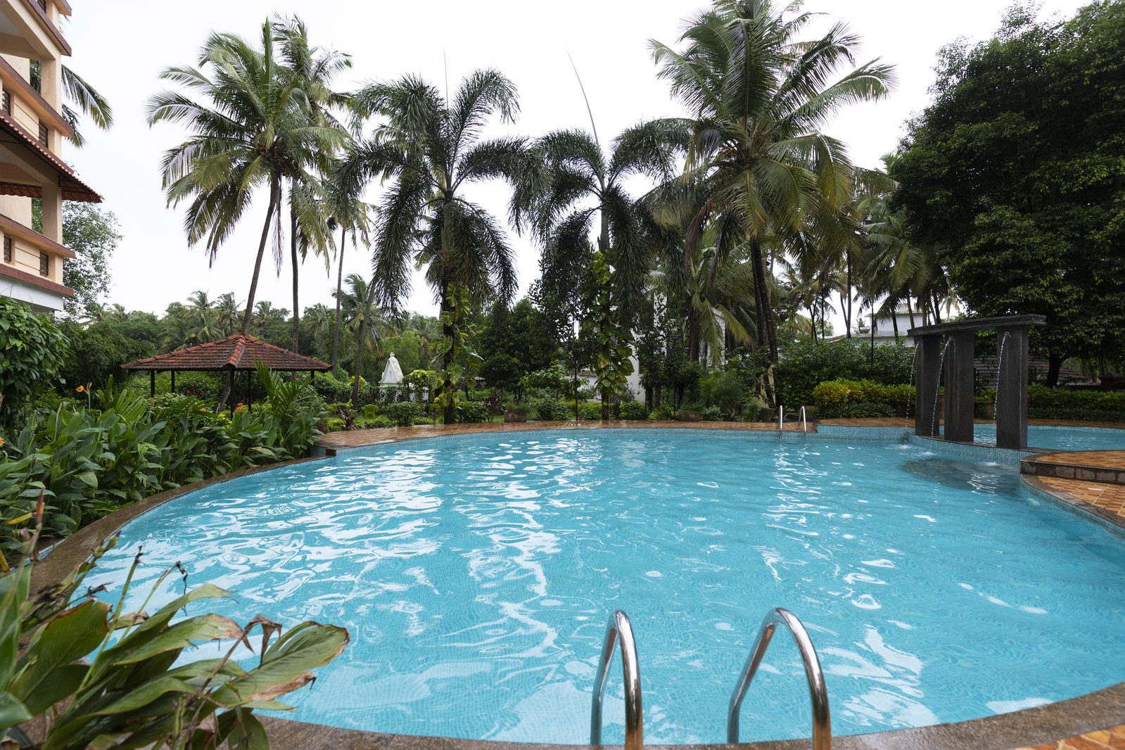 Swimming pool with palms
